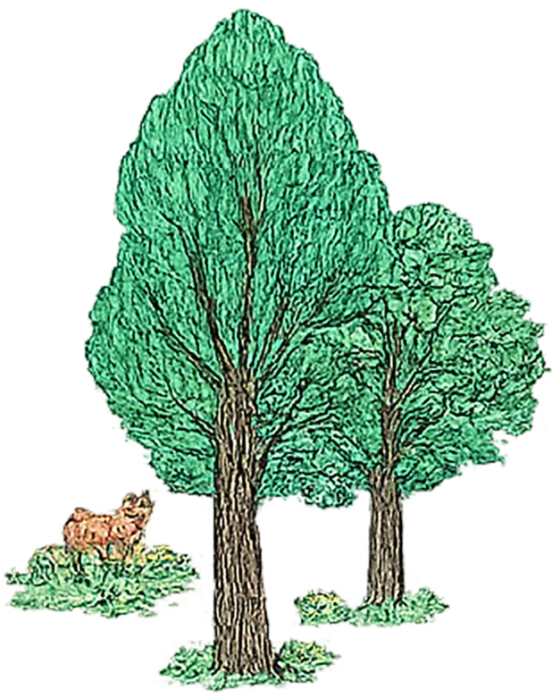 Ｌｉｖｅｔｅｃ